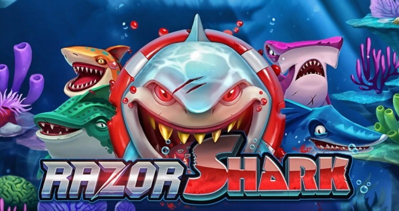 razor shark rizk
